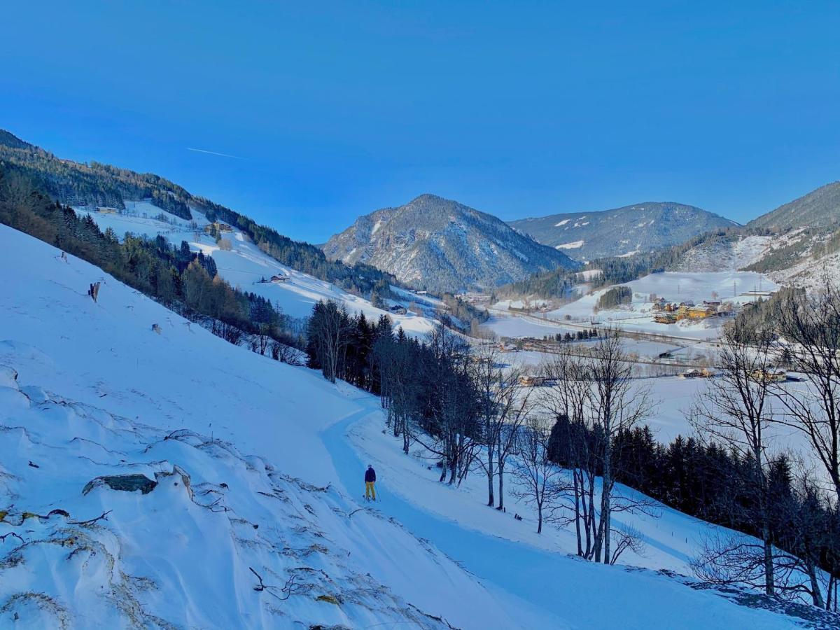 Apartment Frechhof Schladming